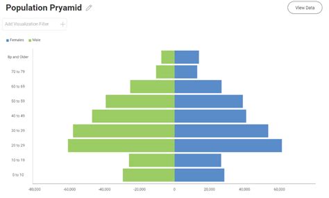 How To Create A Population Pyramid Chart - Reveal BI