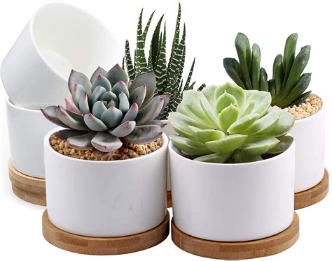 Succulent Pots, ZOUTOG White Mini 3.15 inch Ceramic Flower Planter Pot ...