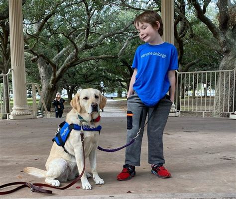 Autism Service Dogs - BluePath Service Dogs