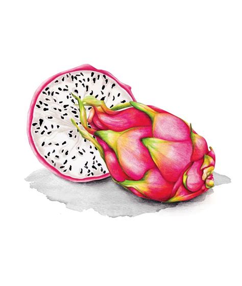 Dragon Fruit Watercolour illustration Art Print by Amanda Dilworth - X-Small | Fruit art ...