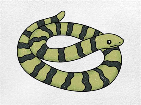 How To Draw A Snake