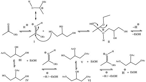 Homogeneous acid-catalyzed reaction mechanism for the... | Download ...