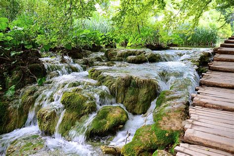 Plitvice Lakes Trail Photograph by Clyn Robinson - Fine Art America