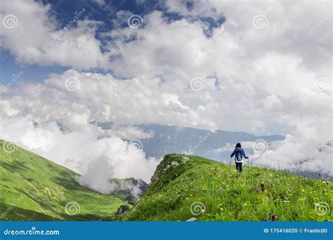 Woman Hiking through the High Alpine Meadows Stock Photo - Image of ...