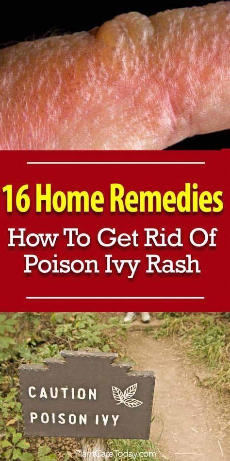 Awesome home remedies detail are available on our site. Read more and ...