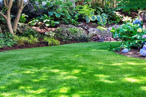 Guide to Installing Artificial Backyard Turf: Step-by-Step Instructions ...