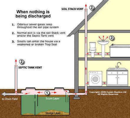 Favorite Soil Vent Pipe Height Above Roof Butcher Block Breakfast Bar