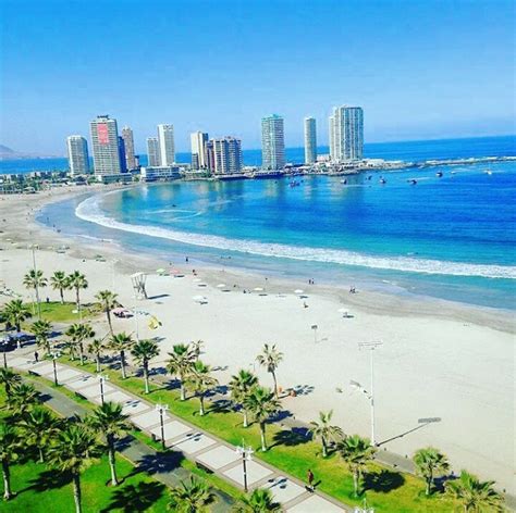 Iquique Beach / beach of the city stuck between sand dunes and the Pacific ... - Looking for a ...