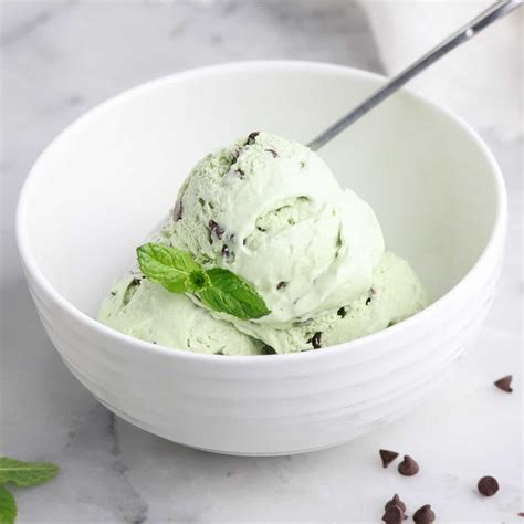 Vegan Mint Chocolate Chip Ice Cream - Vegan Blueberry