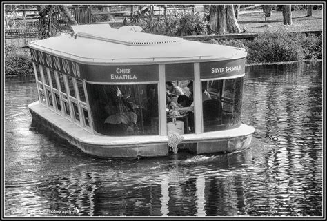 Ocala, Central Florida & Beyond: Glass Bottom Boats at Silver Springs ...