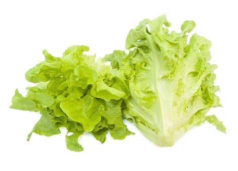 Oakleaf Lettuce Seeds - Heirloom – Hometown Seeds