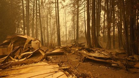 Canada orders 35,000 people to evacuate amid British Columbia wildfires | World News - Hindustan ...