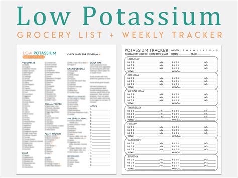 Low Potassium Diet Grocery List Weekly Tracker, Kidney Friendly Food List, Grocery List, Food ...