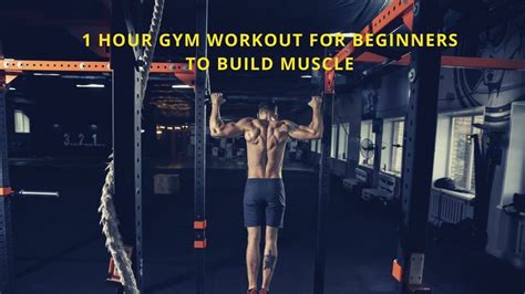 Beginner's 1 Hour Gym Workout Plan to Build Muscle W/ PDF