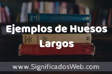 25 Ejemplos de Huesos Largos ️ ¿que es? Características y COMO USAR