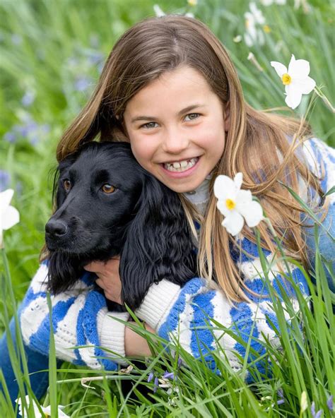 Princess Charlotte wears $41 Boden sweater for 8th birthday photo