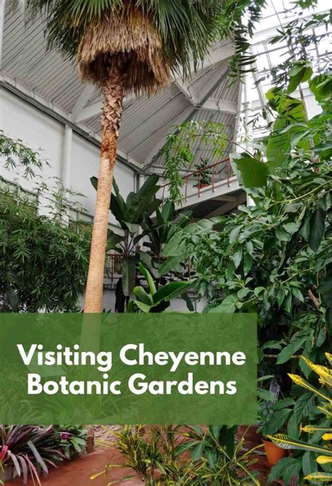 Cheyenne Botanic Gardens - Conservatory, Children’s Village and More!