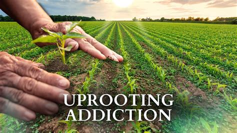 RFK Jr. On Uprooting Addiction | Kennedy24