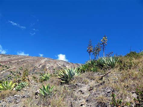 Santa Ana Volcano | | Alluring World