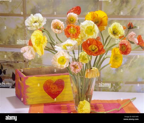 bouquet with Iceland poppies Stock Photo - Alamy