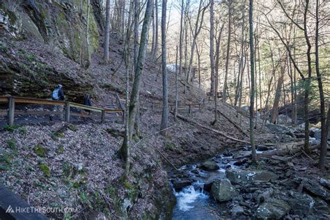 Cloudland Canyon Waterfalls Trail | HikeTheSouth