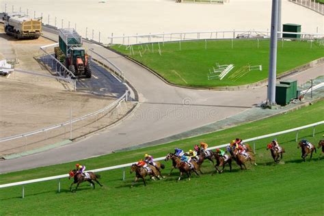 The Horse Racing at Hong Kong Jockey Club. 1 July 2008 Editorial Image ...