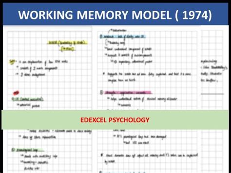 WORKING MEMORY MODEL (Baddeley & Hitch, 1974) | Teaching Resources