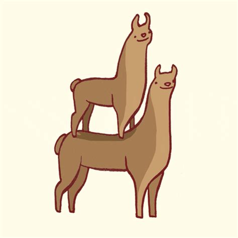 Michell Alpaca GIFs - Get the best GIF on GIPHY