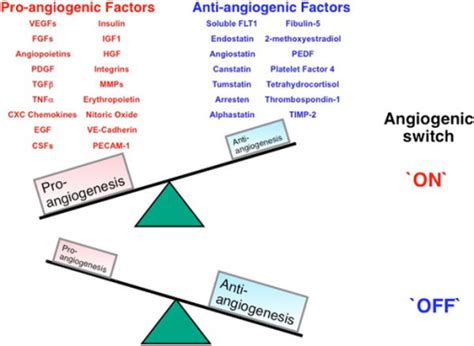 Schematic image of angiogenesis switch. Angiogenesis re | Open-i