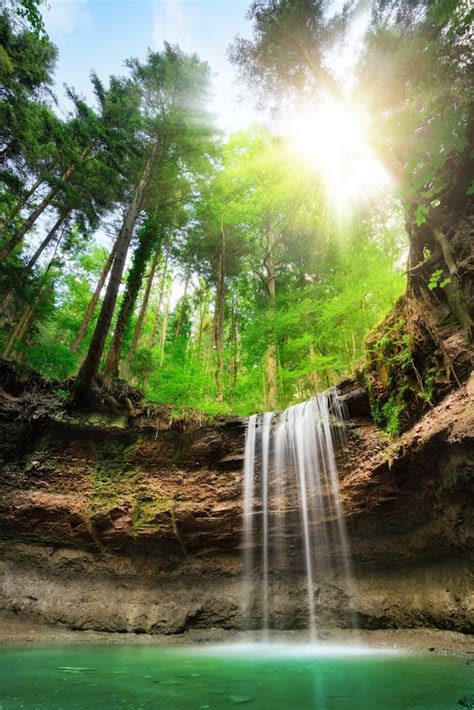 Woodlands Waterfall Jigsaw Puzzle