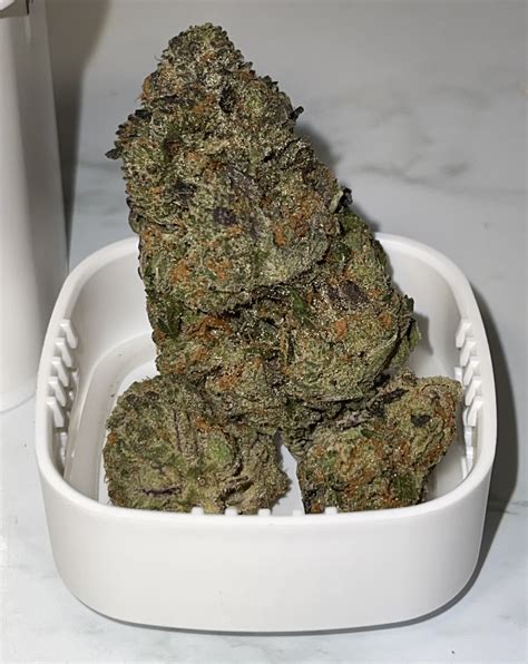 Sunnyside Flower Review: Gastro Pop (Sativa) – Florida Medical Cannabis Collective