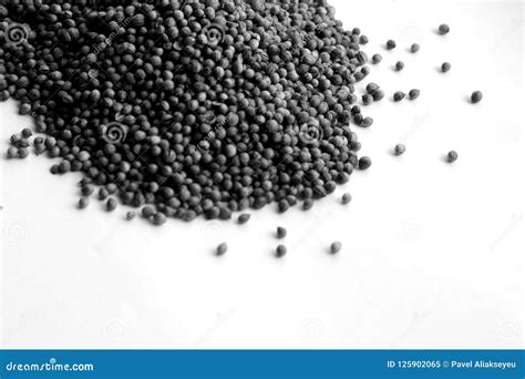 Mustard Seeds On White In Black And White. Stock Image - Image of macro ...