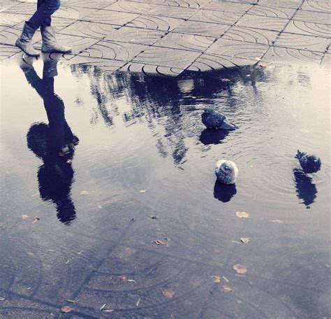 rain puddle reflection Puddle, Reflection, Rain, River, Outdoor, Rain ...