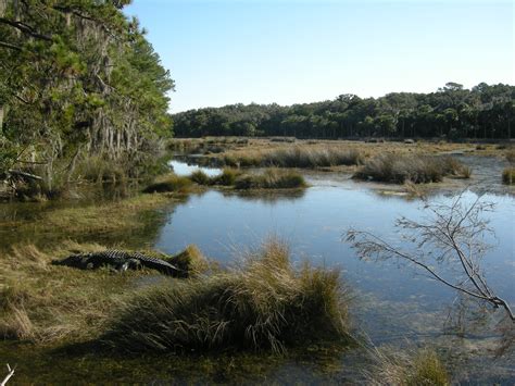 The Georgia Coast Atlas | Ossabaw Island