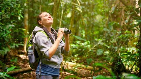 Best Bird Watching Binoculars Tested by Our Team | ThatSweetGift