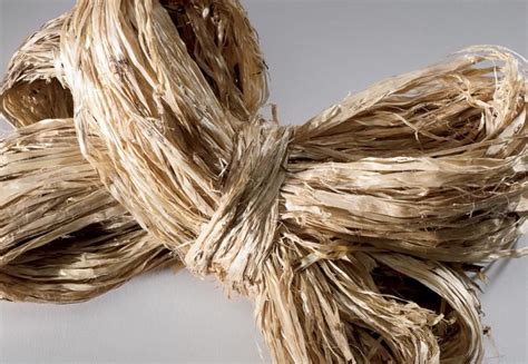 Natural Fibers | Hartmann&Forbes Water Hyacinth, Water Lilies, Earthy ...