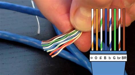 How to Make an Ethernet Cable! - FD500R Crimp Tool Demonstration | Ethernet cable, Structured ...