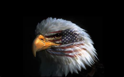 Eagle Eye American Flag Wallpaper Hd Or Mobile Phone And Pc : Wallpapers13.com