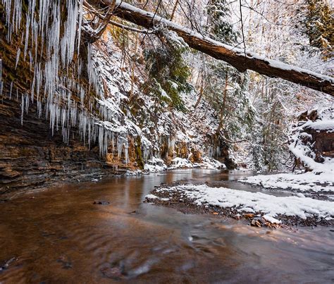 Winter at Cuyahoga Valley National Park Ohio [OC] [1606 x 1367] in 2020 ...