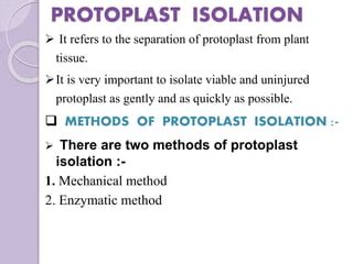 Protoplast isolation,culture & fusion | PPT