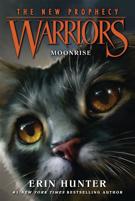 Warrior Cats Book Covers - Adazing