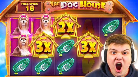 CRAZY 18 FREE SPINS On THIS DOG HOUSE BONUS?!.. (BONUS HUNT OPENING) - YouTube