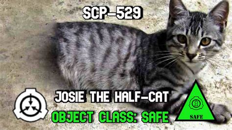 SCP-529 Josie the Half-Cat - The Anomalous Feline with a Missing Half ...