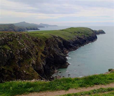 Coastal path walking: Porthgain to Abereiddy Walking, dog friendly | Holiday Cottages Wales