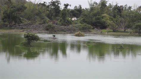 Otteri Lake in Vandalur Zoo - YouTube