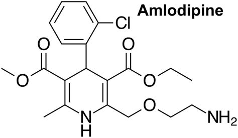 Amlodipine mechanism of action, amlodipine besylate uses, dosage & side ...