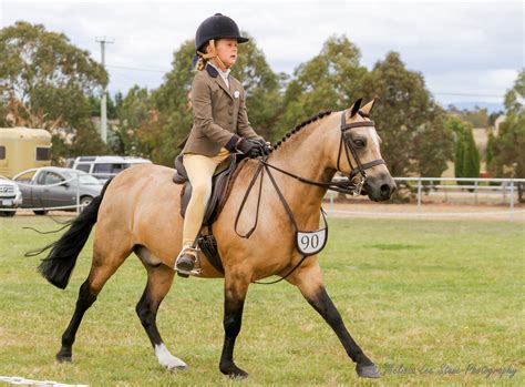 Longford Show Horse Show | Equestrian Tasmania