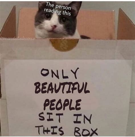 Only beautiful people beyond this point | r/wholesomememes | Wholesome ...