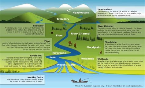 Fluvial Depositional Landforms | Types of Deltas | PMF IAS | Geography lessons, River, Earth science