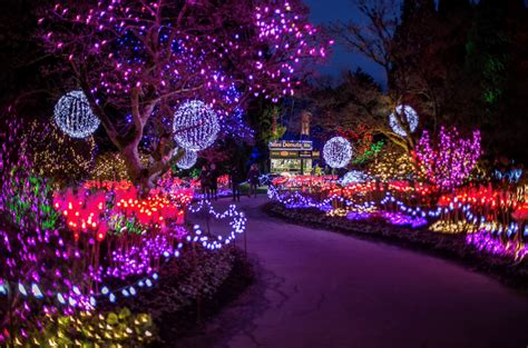 Festival of Lights at VanDusen and Stanley Park Christmas Train cancelled due to COVID-19 ...